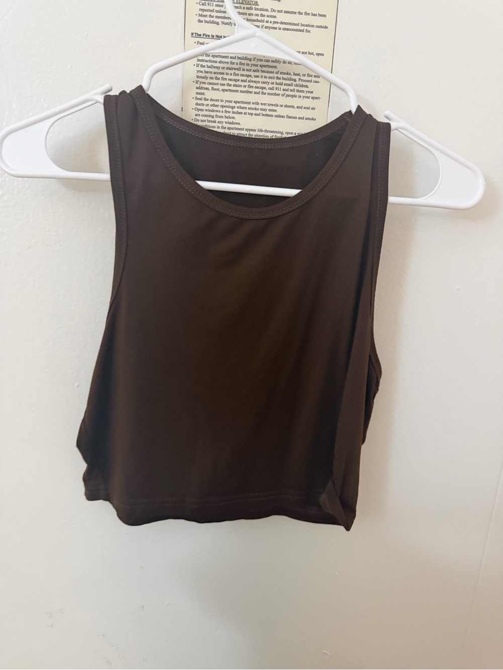 Brandy Melville Brown Sleeveless Crop Tank